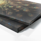 Peacock Dimensional Radiance 131