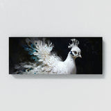 Peacock Elegant Contrast 46