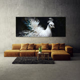 Peacock Elegant Contrast 46