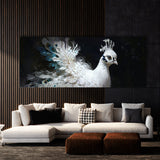 Peacock Elegant Contrast 46