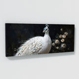 Peacock Elegant Contrast 47