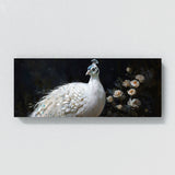Peacock Elegant Contrast 47