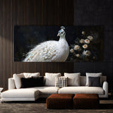 Peacock Elegant Contrast 47