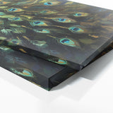Peacock Kaleidoscopic Plumes 86
