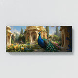 Peacock Majestic Garden Splendor 51