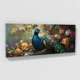 Peacock Regal Plumage 37