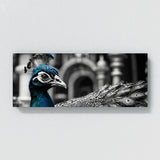 Peacock Timeless Texture Majesty 113