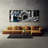 Peacock Timeless Texture Majesty 113