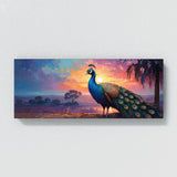 Peacock Twilight Radiance 91