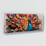 Peacock Urban Symphony 129