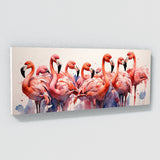 Flamingo Fluid Symphony 51
