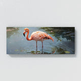 Flamingo Lake Reflections 22
