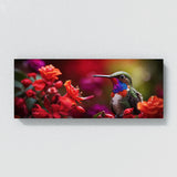 Hummingbird Scarlet Dance 75