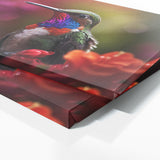 Hummingbird Scarlet Dance 75