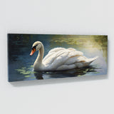 Swan Calm Waterscape 50