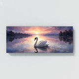 Swan Dusk Serenade 32