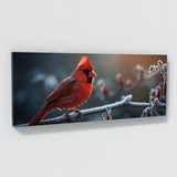 Cardinal Cinematic Dawn 63