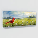 Cardinal Whispering Meadow 40