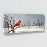 Cardinal Winter Silence 20