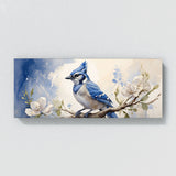 Blue Jay Airborne Elegance 30