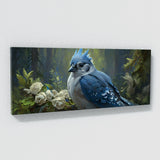 Blue Jay Avian Serenity 4
