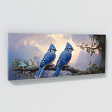 Blue Jay Dawns Gentle Perch 2