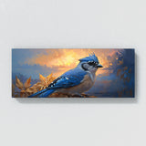 Blue Jay Golden Dusk Jay 16