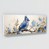 Blue Jay Graceful Perch 37