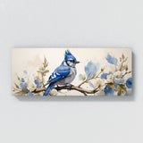 Blue Jay Graceful Perch 37