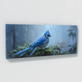 Blue Jay Misty 20