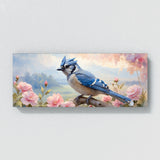 Blue Jay Pastel Jay Dream 28