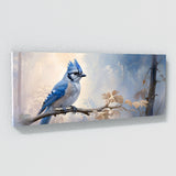 Blue Jay Peaceful Solitude 36
