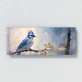 Blue Jay Peaceful Solitude 36