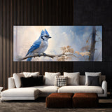 Blue Jay Peaceful Solitude 36