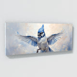 Blue Jay Skyward Grace 22