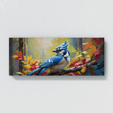 Blue Jay Symphony 41
