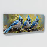 Blue Jay Vivid Feather Dance 48