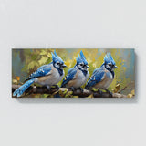 Blue Jay Vivid Feather Dance 48