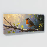 Robin Dappled Dawn 57