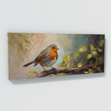 Robin Ephemeral 60