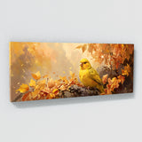Canary Autumn Symphony 12
