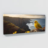 Canary Cliffside Reverie 76