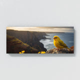 Canary Cliffside Reverie 76