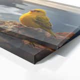 Canary Cliffside Reverie 76