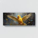 Canary Flight 53