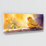 Canary Golden Bliss 34