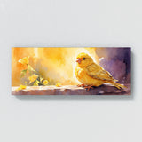Canary Golden Bliss 34