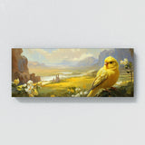 Canary Graceful Golden Vista 9