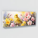Canary Spring Harmony 24