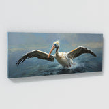 Pelican Descent 20